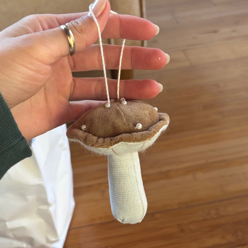 Mushroom ornament purchased at target